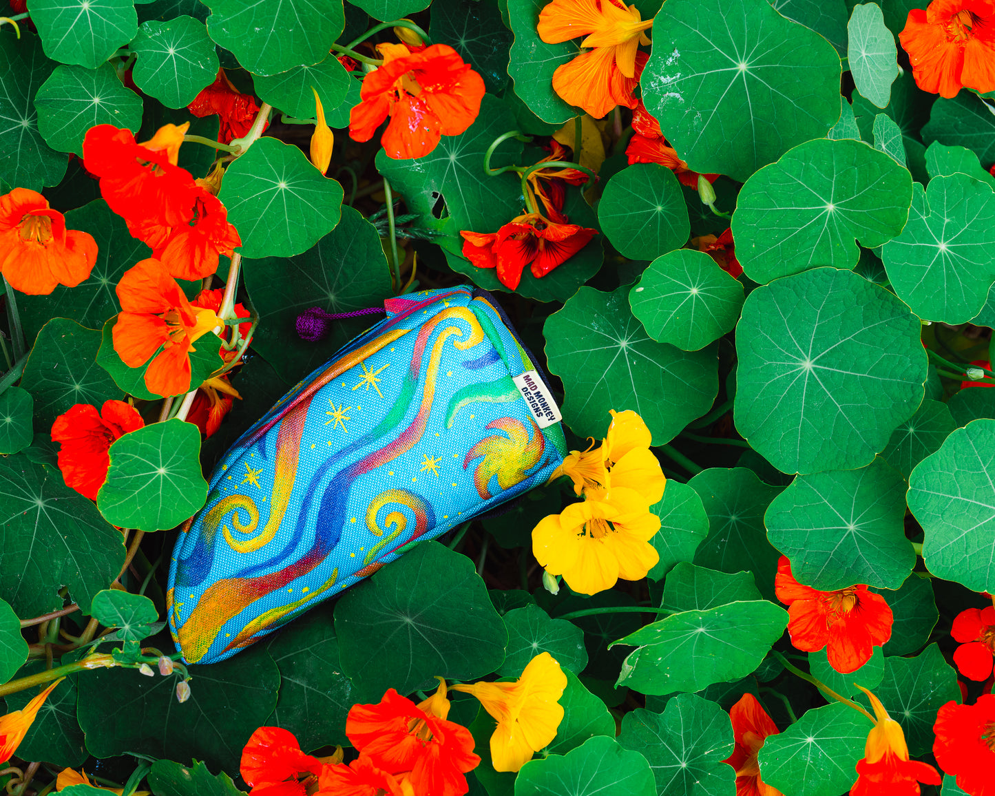 Cosmic Wave π§βπ¨ β Mad Monkey Artist Series (3 of 4)