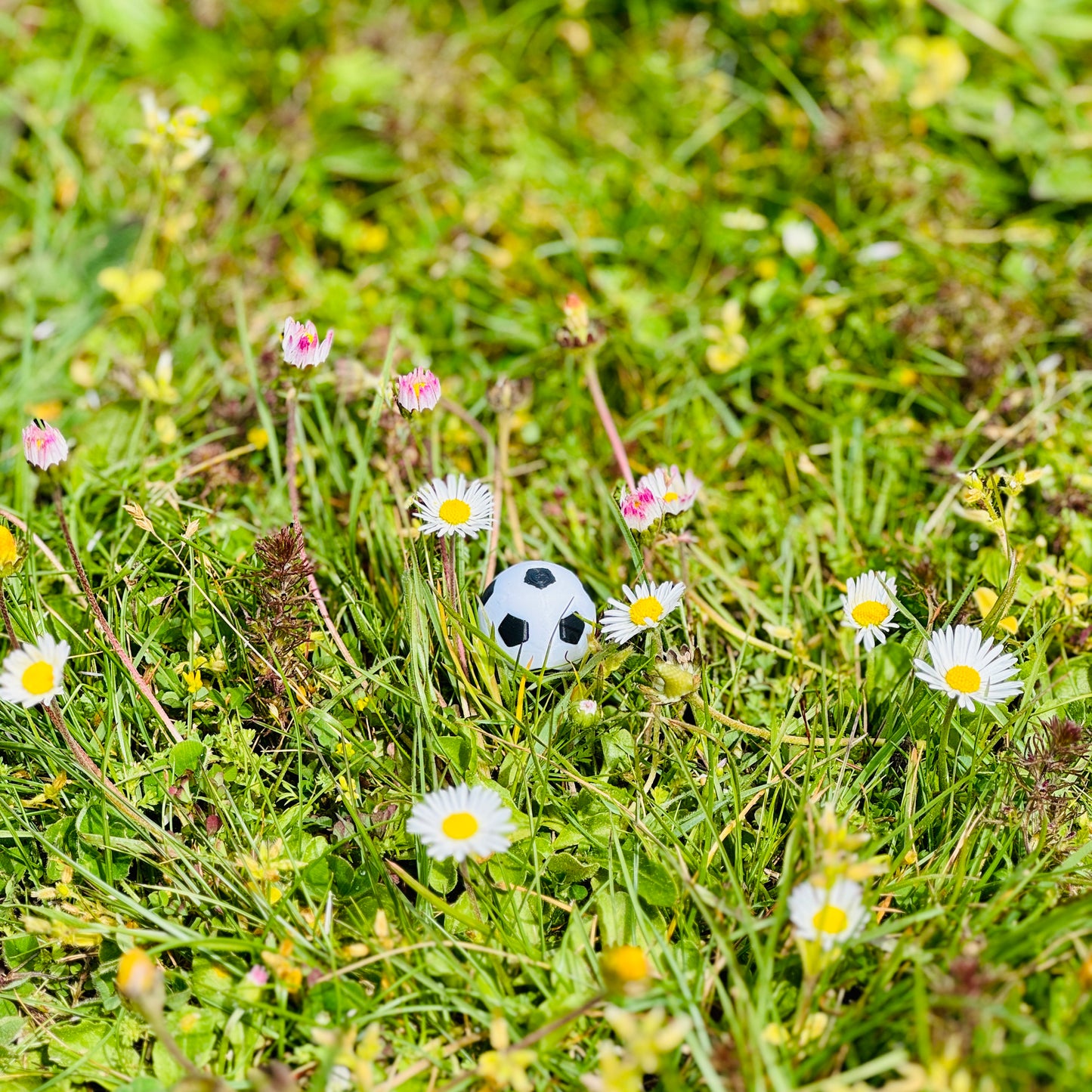 Soccer Ball - Pixel Primate Valve Cap