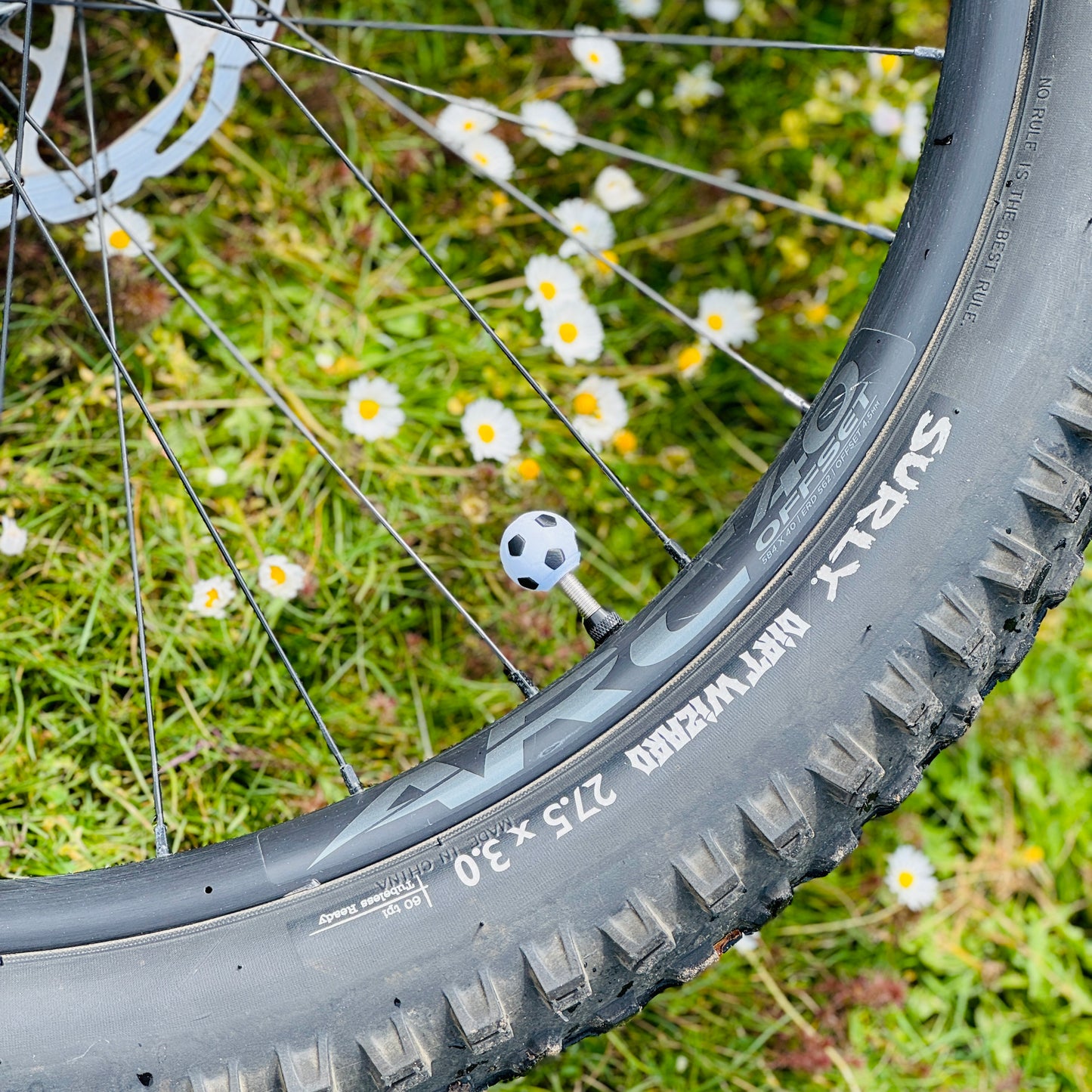 Sports - Presta Valve Cap