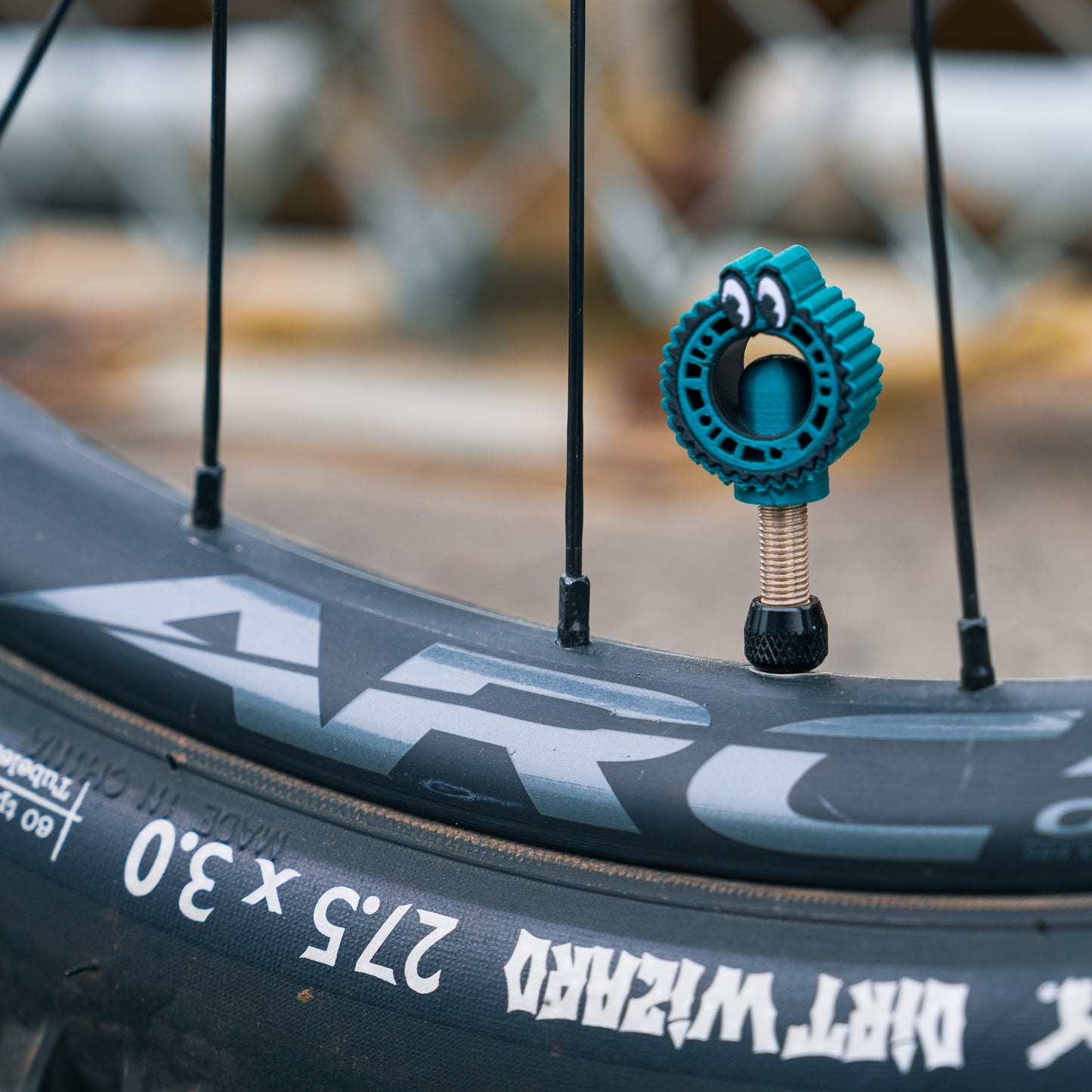Loose Chain Cycling - Valve Cap