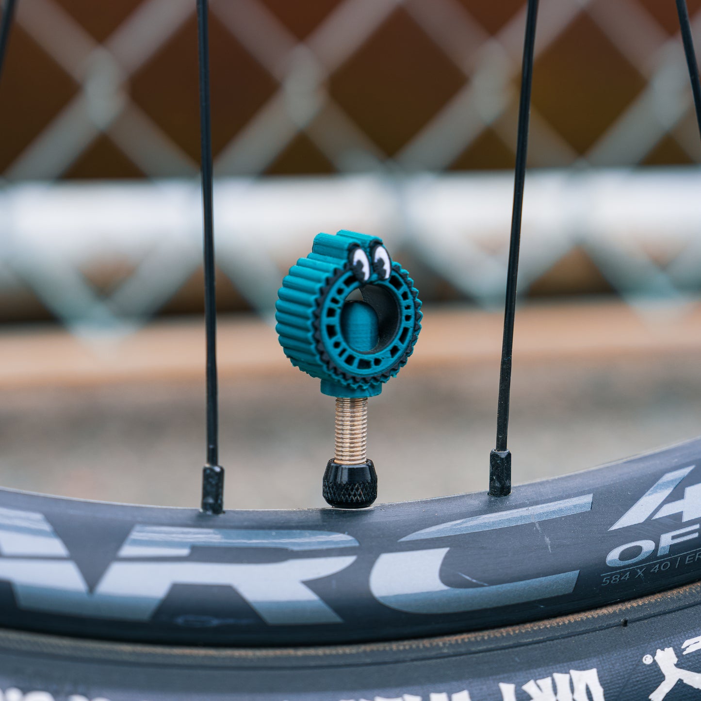 Loose Chain Cycling - Valve Cap