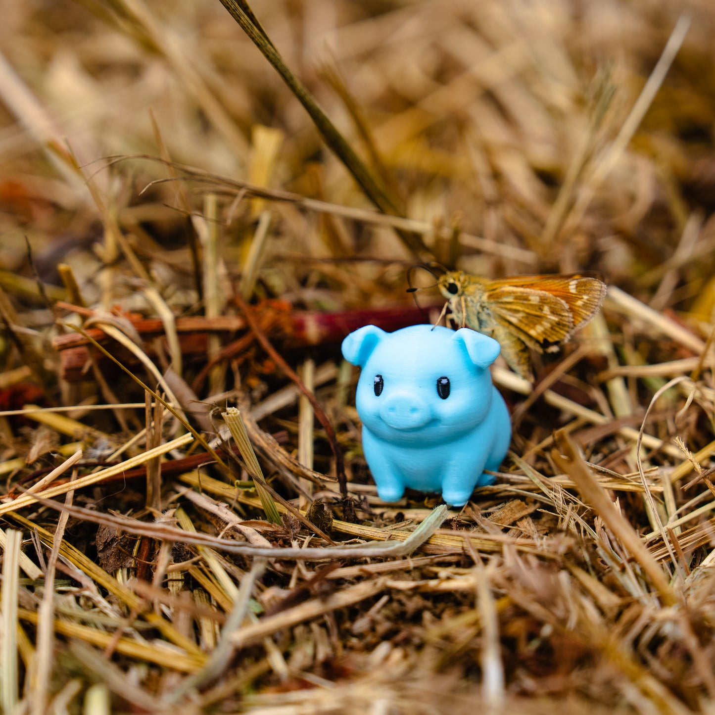 Piggy - Pixel Primate Valve Cap