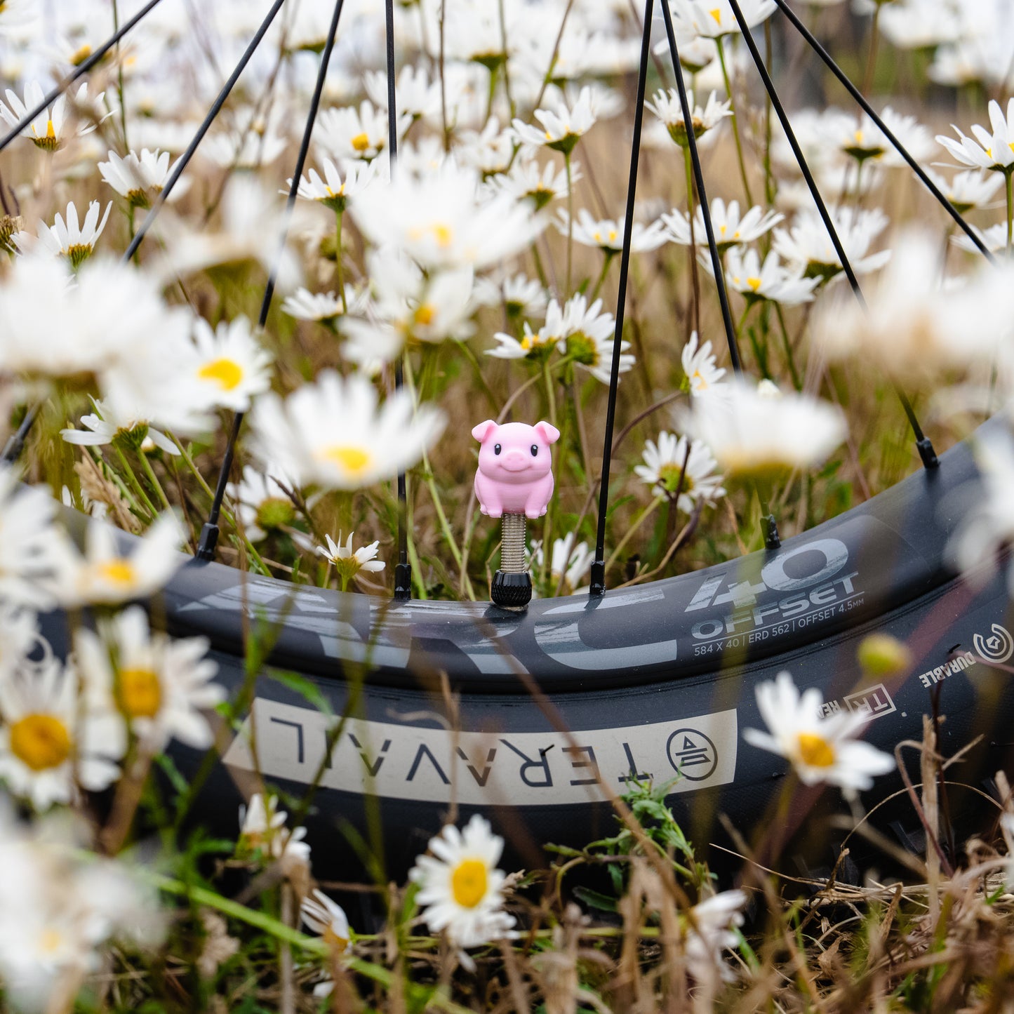 Piggy - Pixel Primate Valve Cap