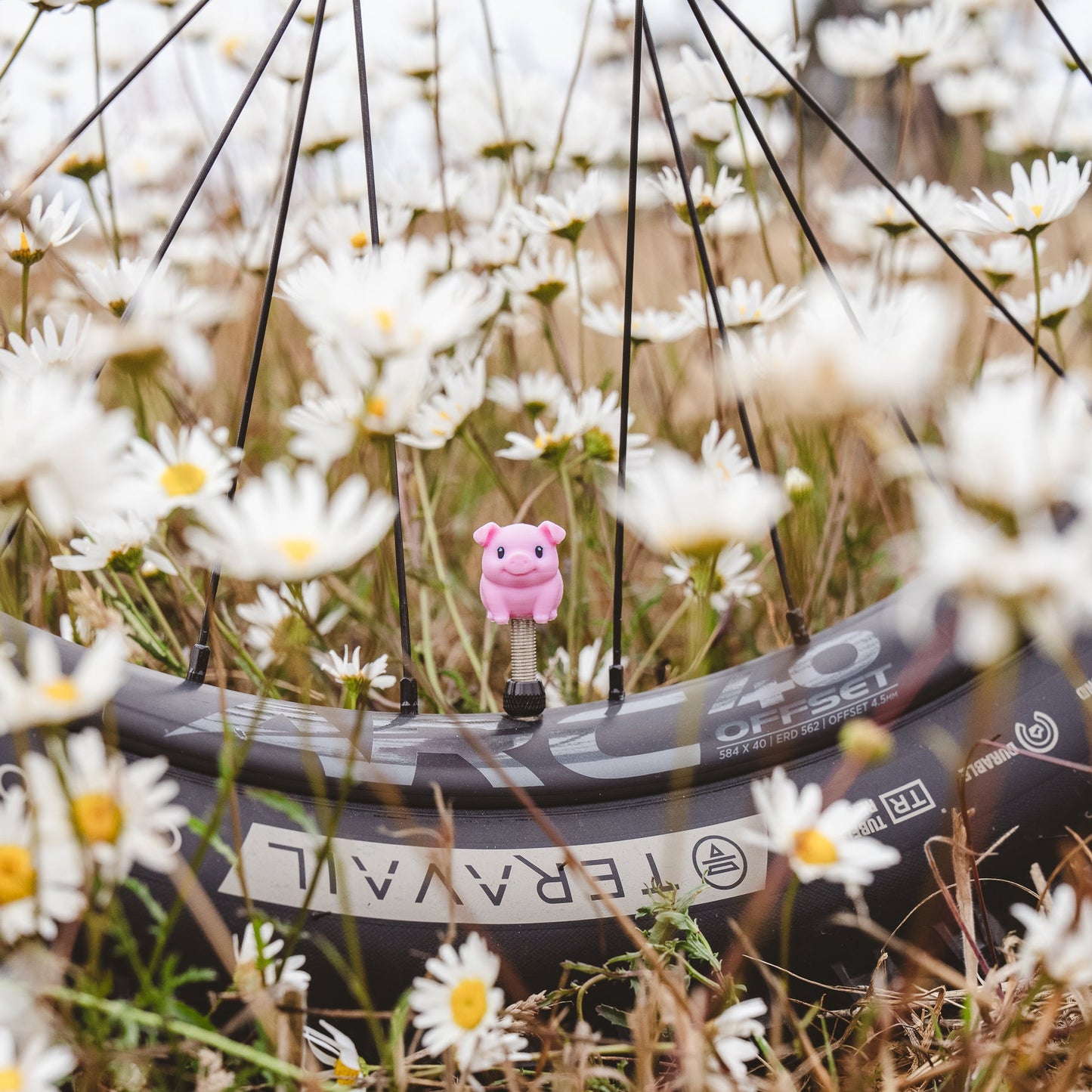 Piggy - Pixel Primate Valve Cap