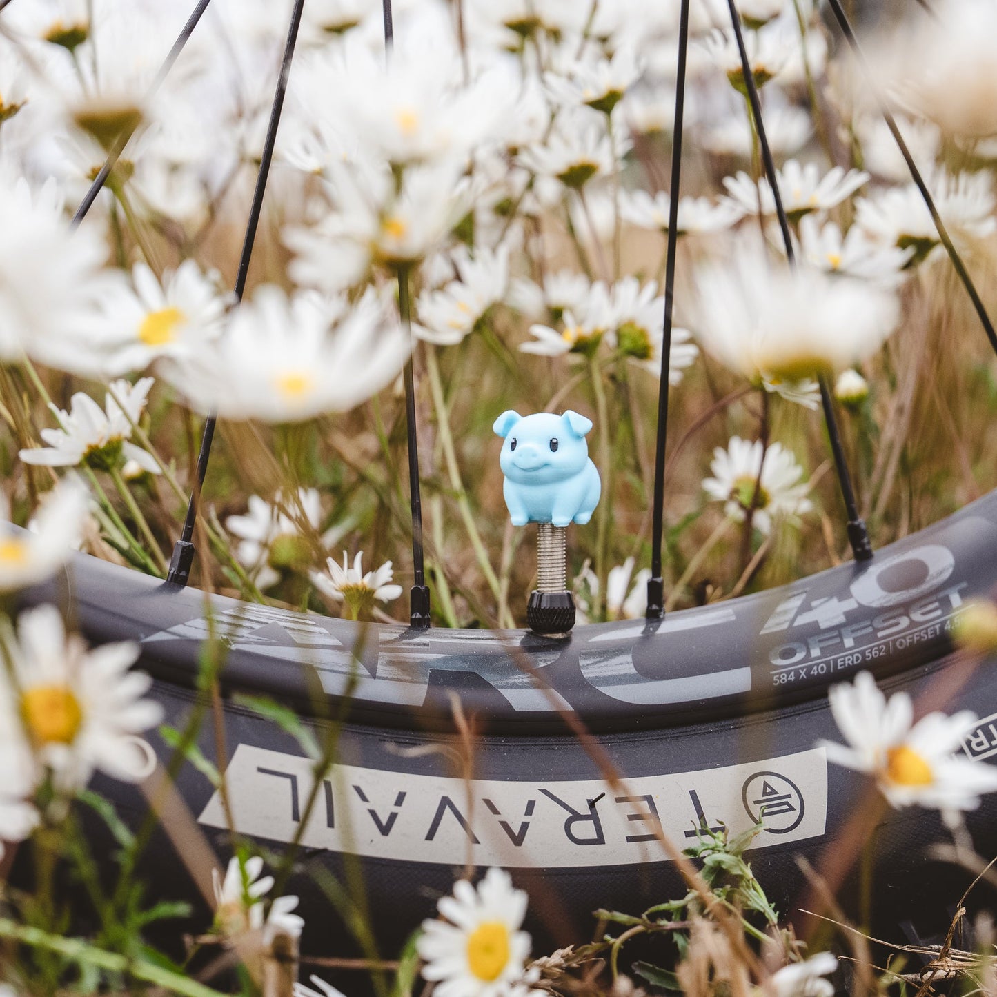 Piggy - Pixel Primate Valve Cap