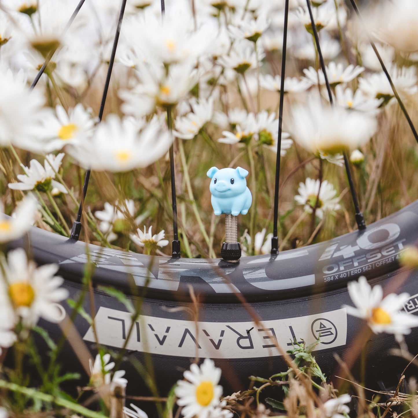 Piggy - Pixel Primate Valve Cap