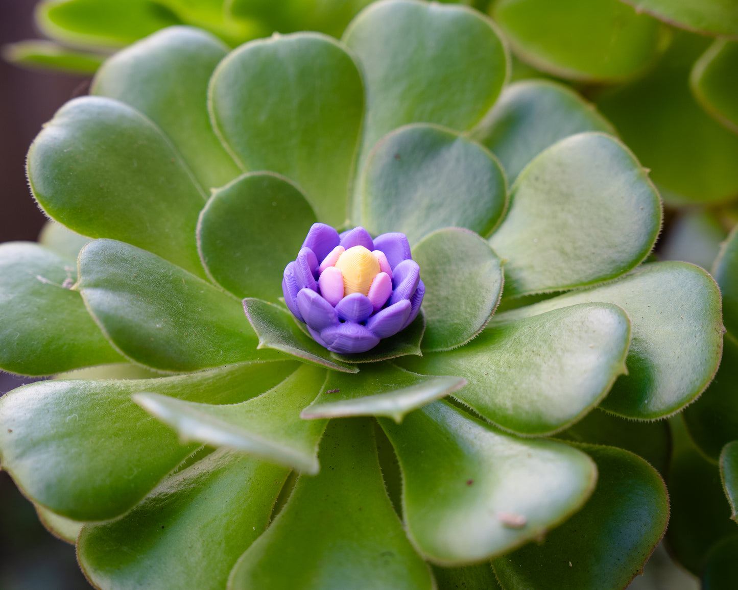 Egyptian Lotus Flower - Pixel Primate Valve Cap