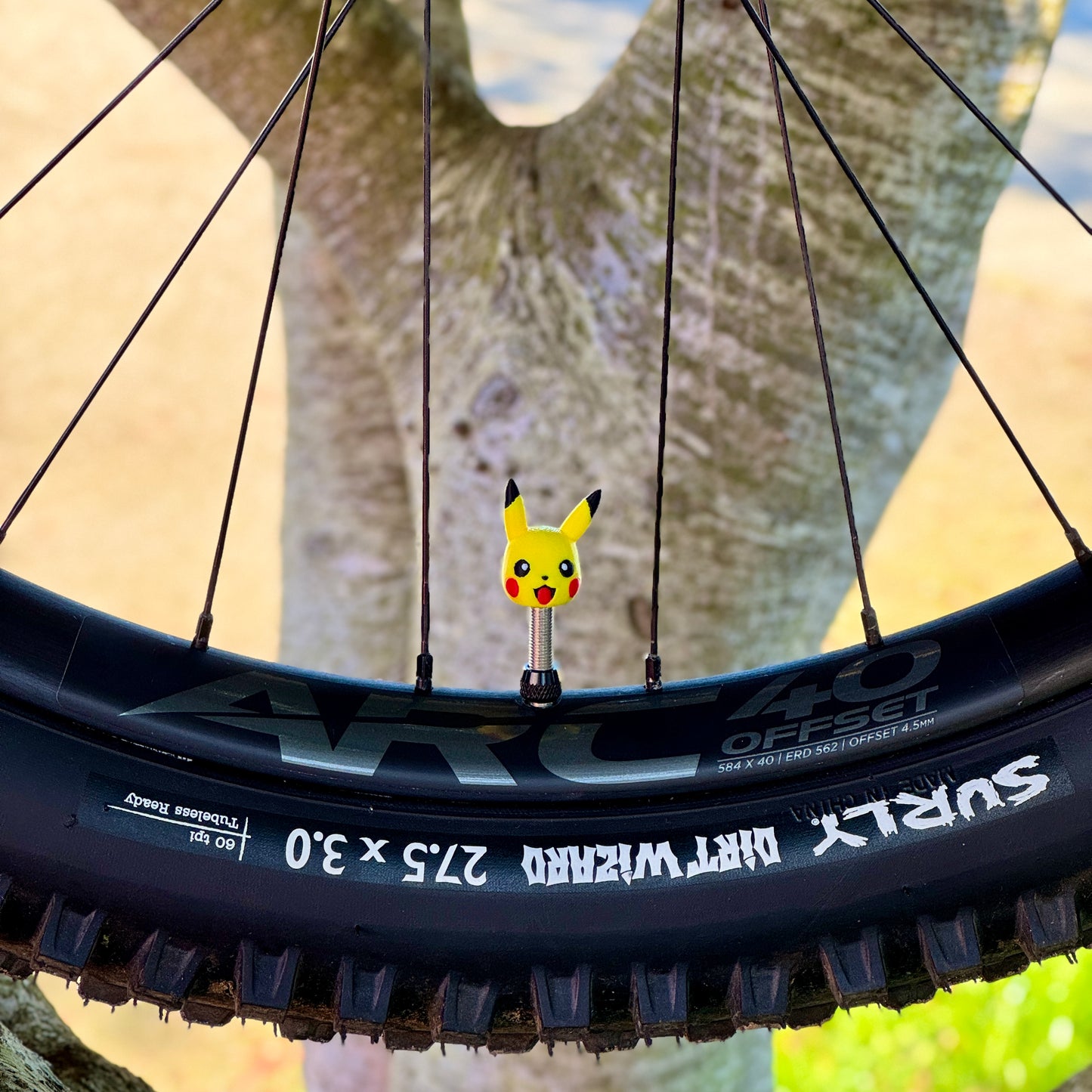 Pokemon - Presta Valve Cap
