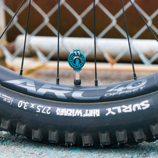 Loose Chain Cycling - Valve Cap