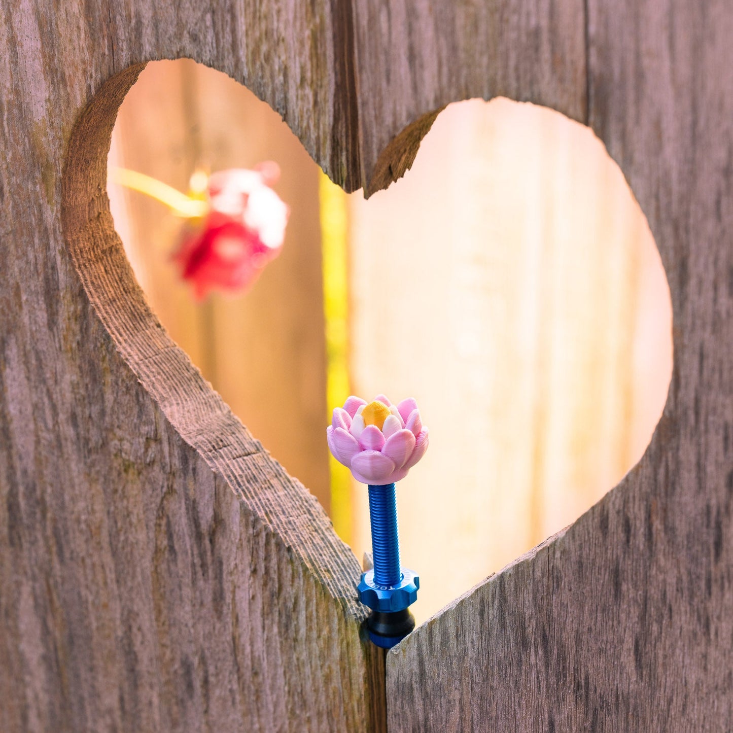 Heart-shaped cutout on wood with decorative items inside